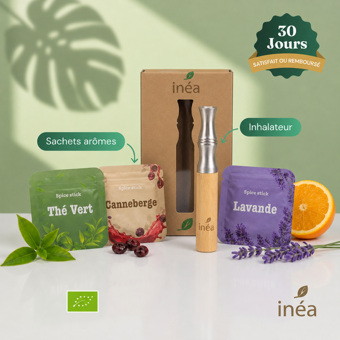 Inéa prénium