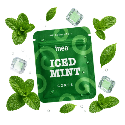 Arôme Menthe Inéa