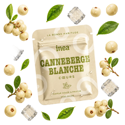 CANNEBERGE BLANCHE