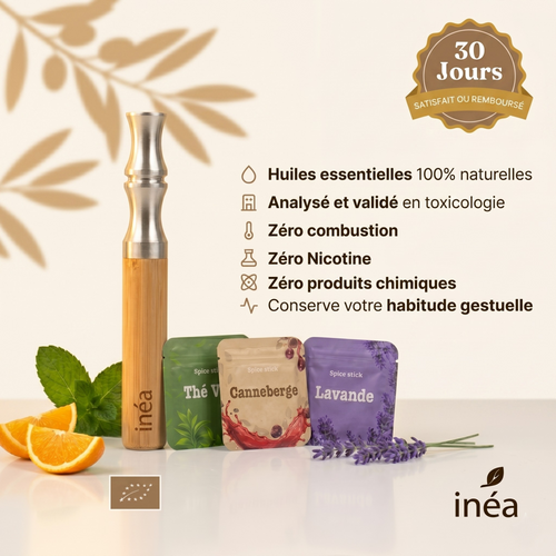 Inéa prénium